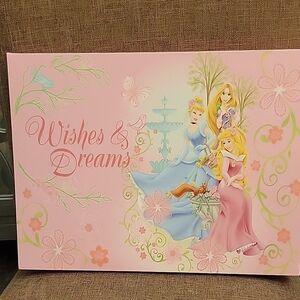Disney Princess Wishes & Dreams LED Light Up Canvas Art